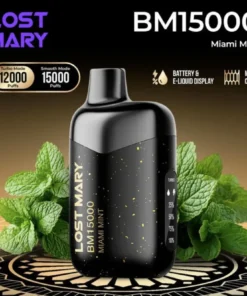 LOST MARY BM15000 (15,000 Puffs) Rechargeable Vape
