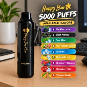 HAPPY BAR 5000 Puffs Non-Rechargeable Vape